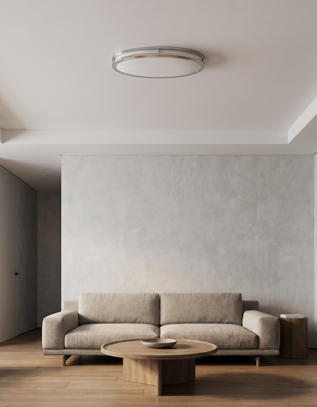 DAWN 24" double ring flush mount - Brushed Nickel#Finish_Brushed Nickel