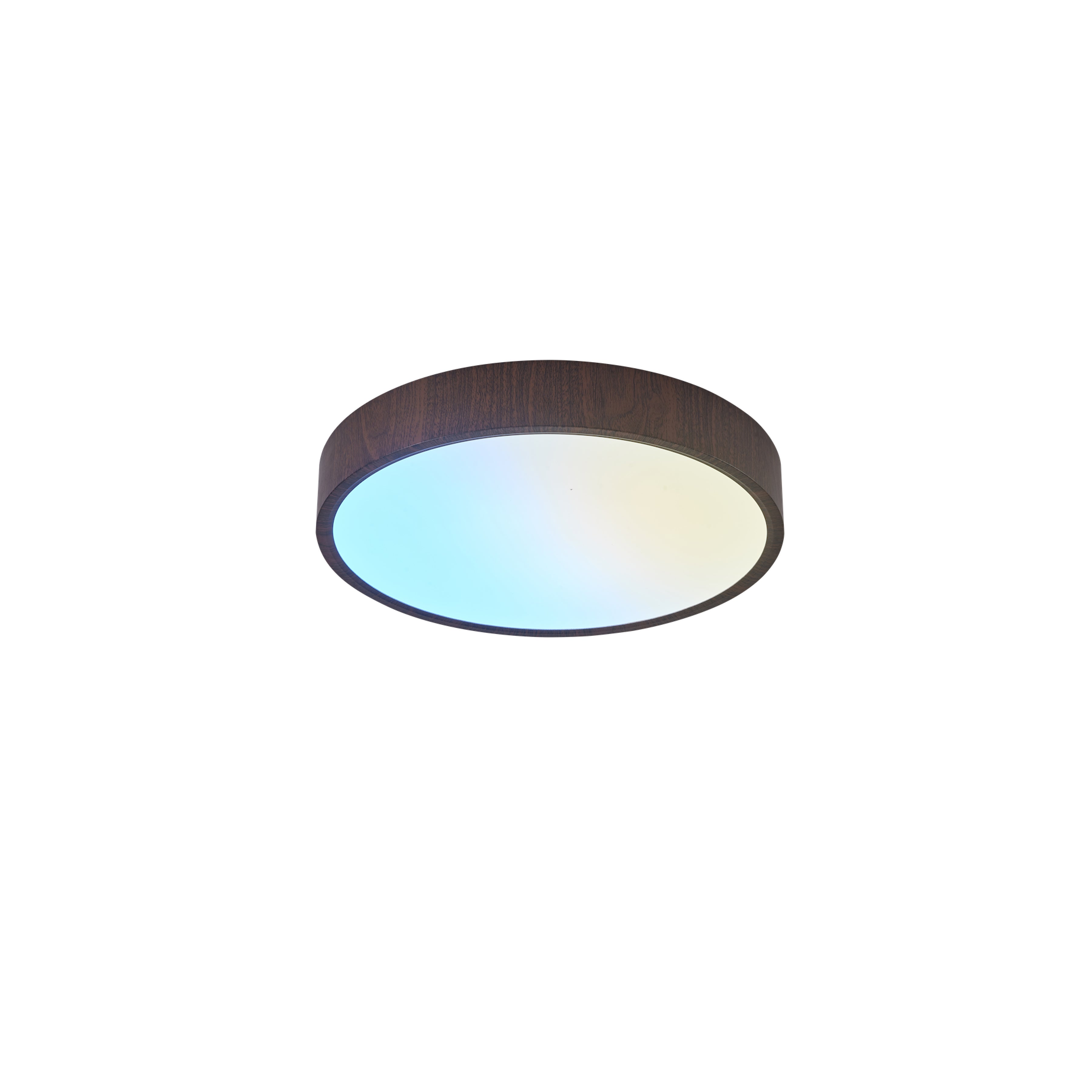 CAELUM Large Round Flush Mount / Semi-Flush