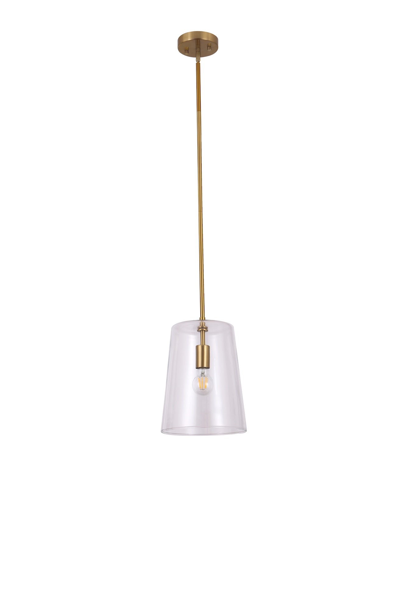CARDINAL 1-Light Pendant