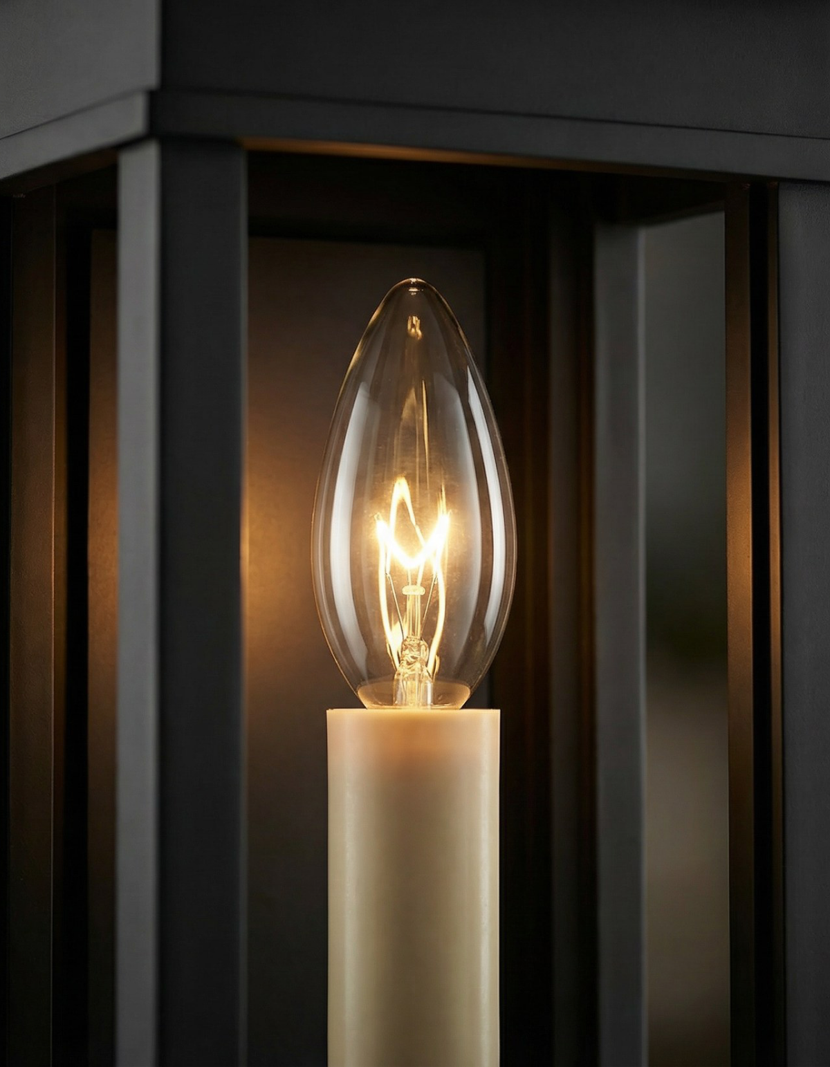 CARLISLE 16-in. 1-Light Outdoor Lantern — gallery 4