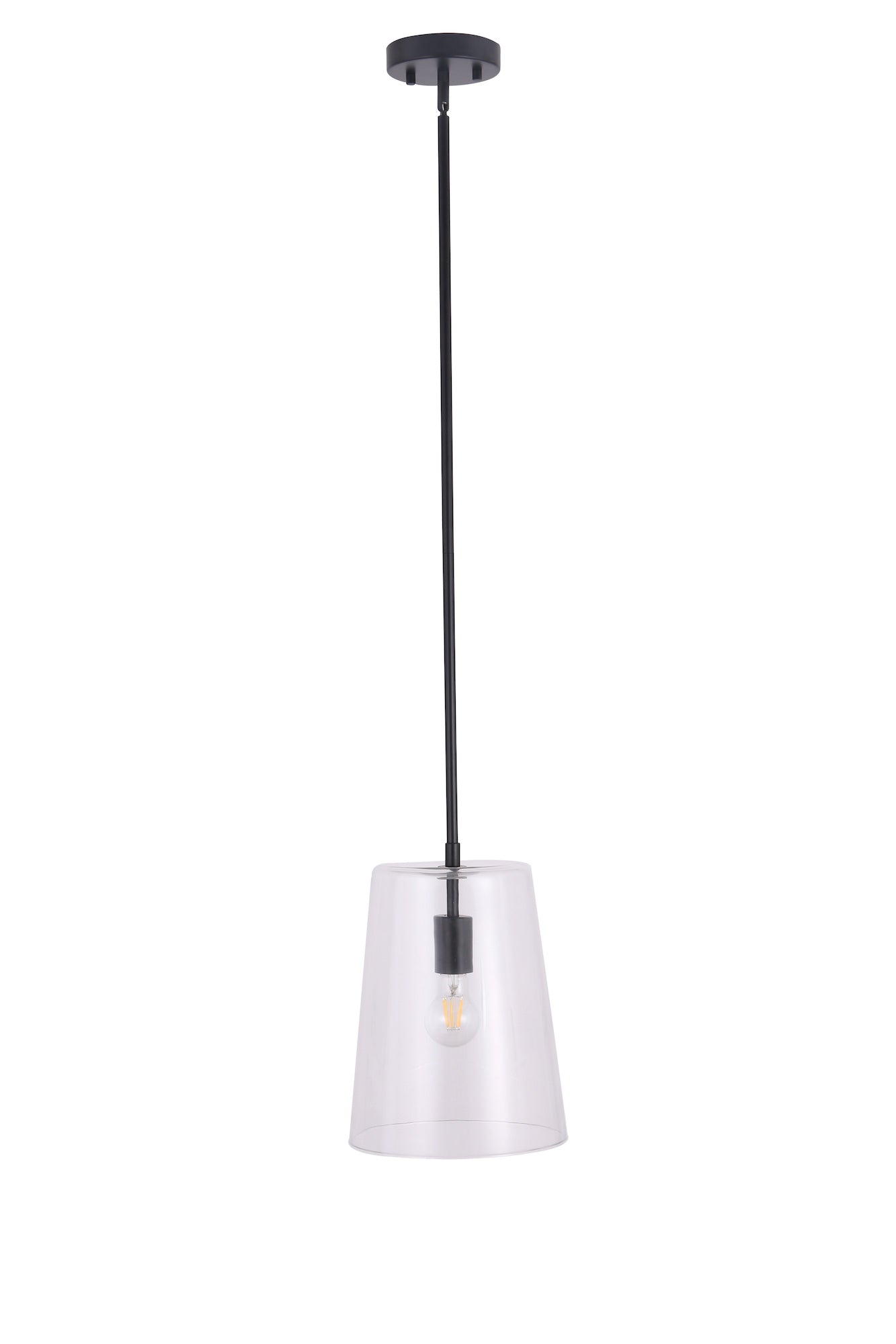 CARDINAL 1-Light Pendant