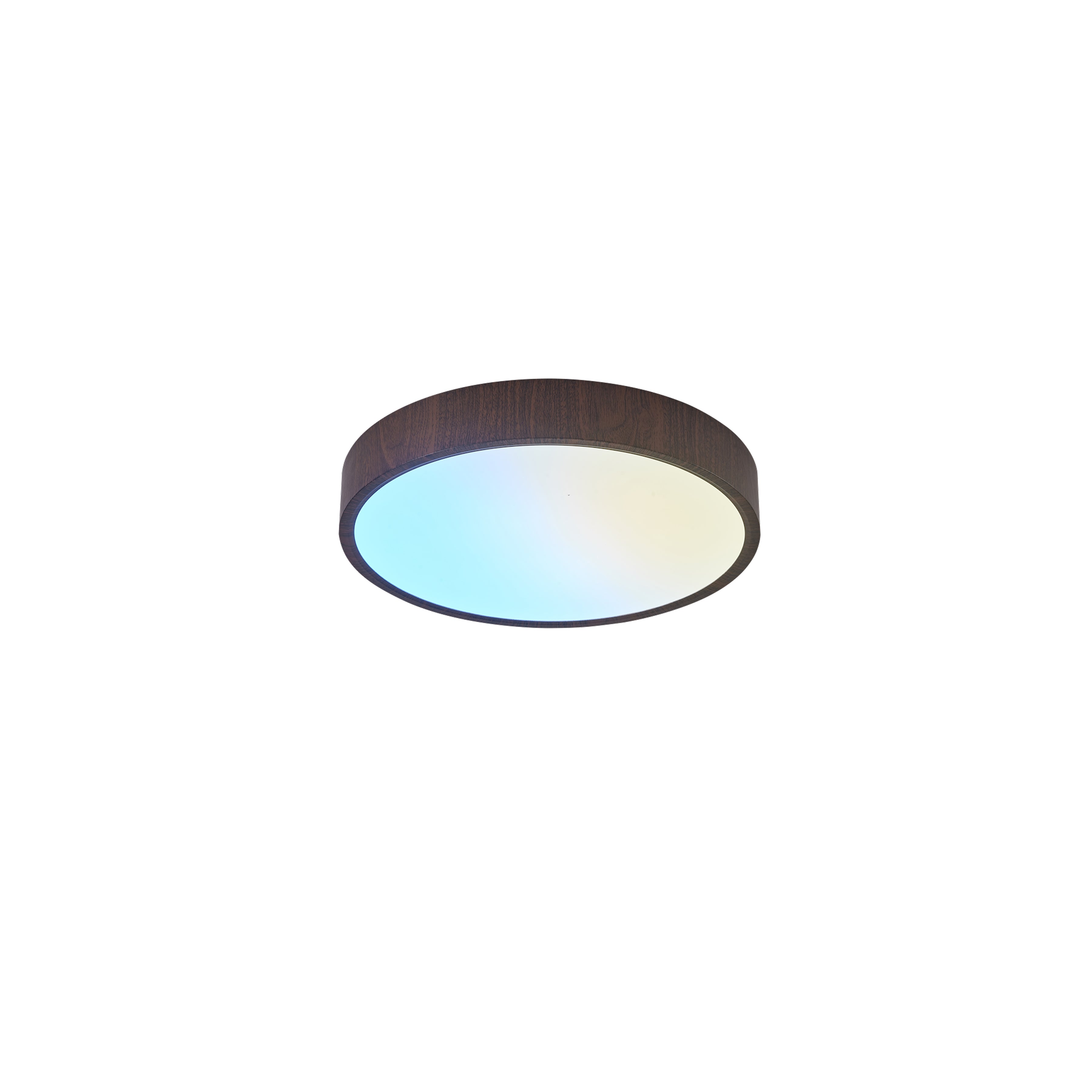 CAELUM Small Round Flush Mount / Semi-Flush