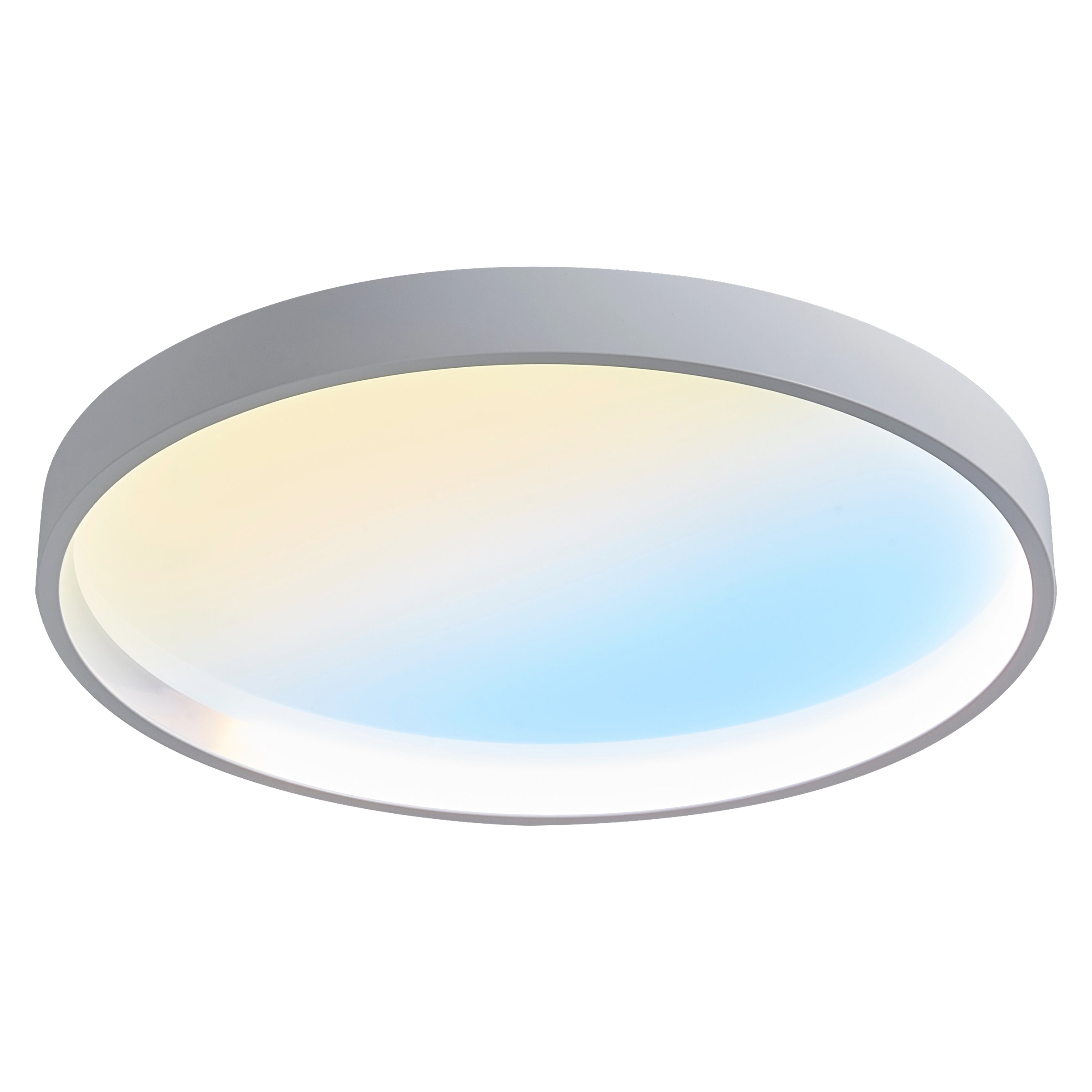 CAELUM Medium Round Flush Mount / Semi-Flush