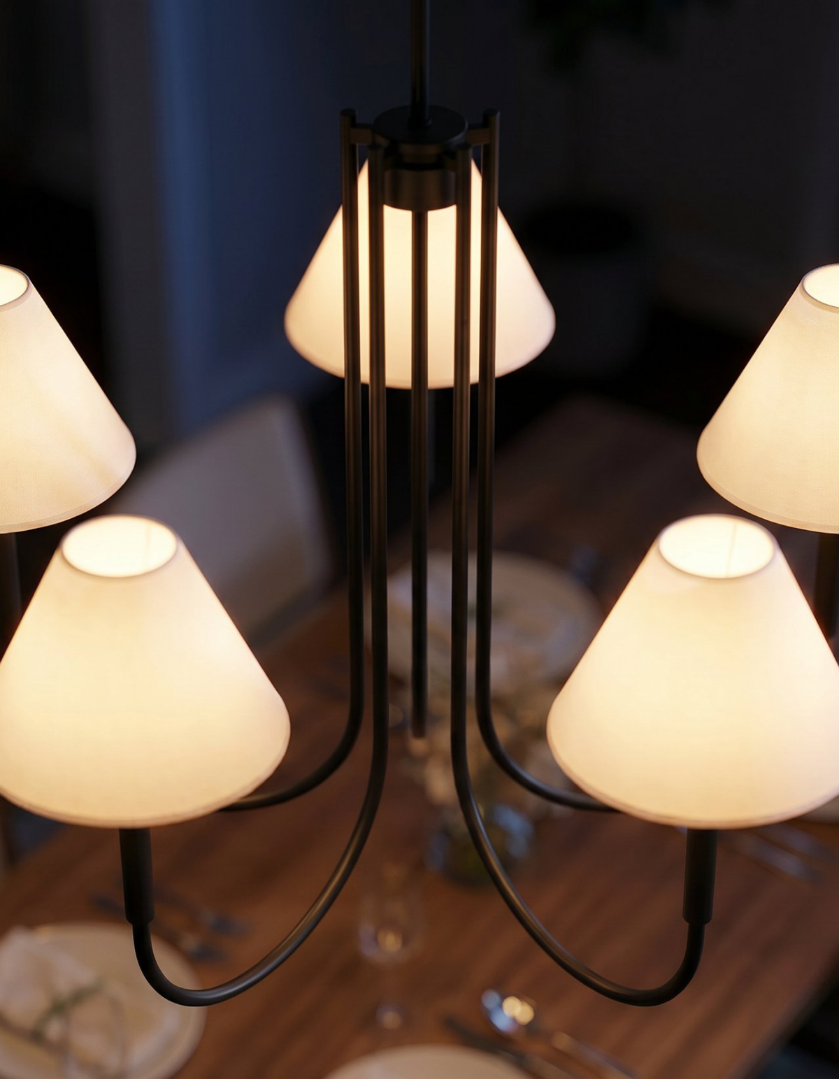 Parlor 5-Light Chandelier - Black#Finish_Black