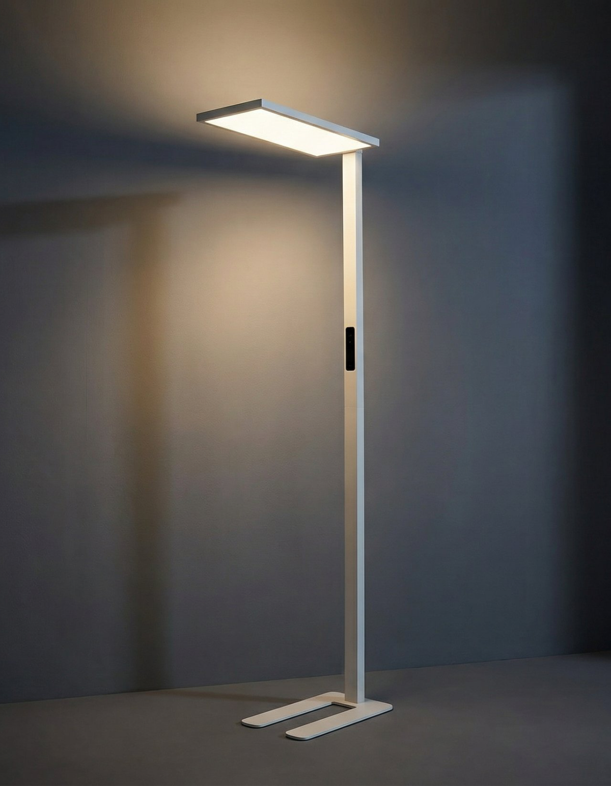 Eye Protection Series Floor Lamp - full fixture