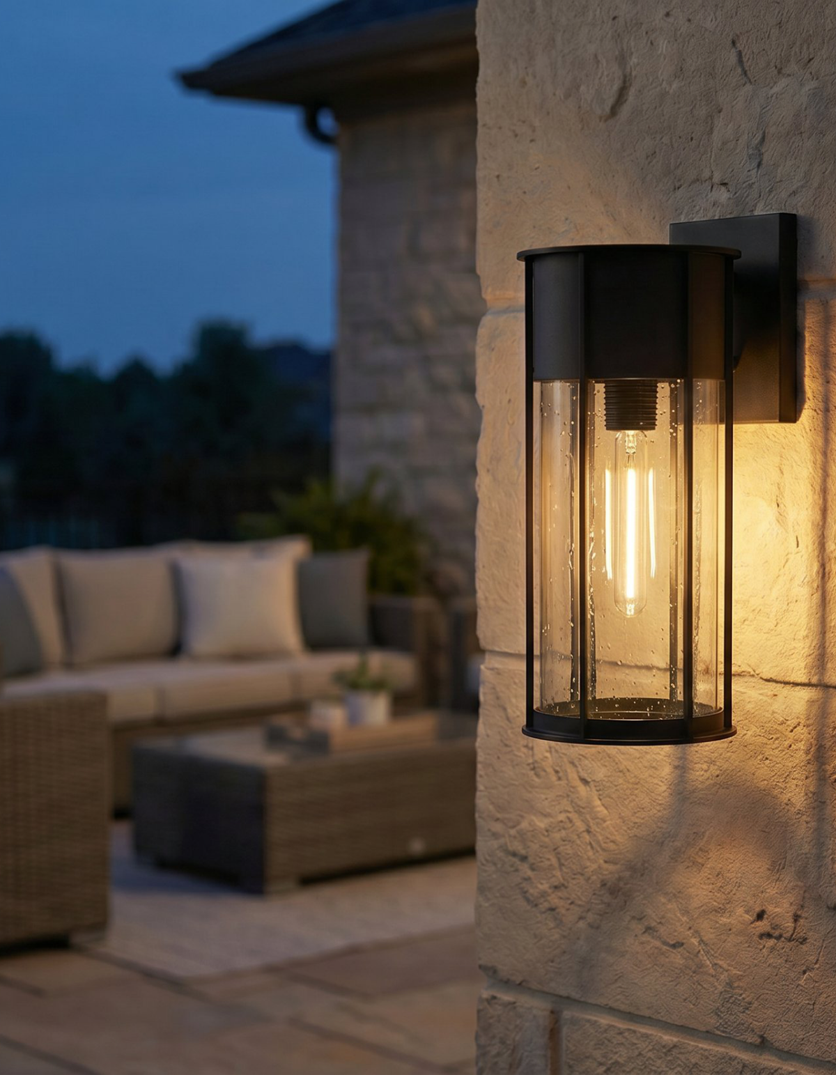 Rainier 14-in. Outdoor Wall Lantern - Black#Finish_Black